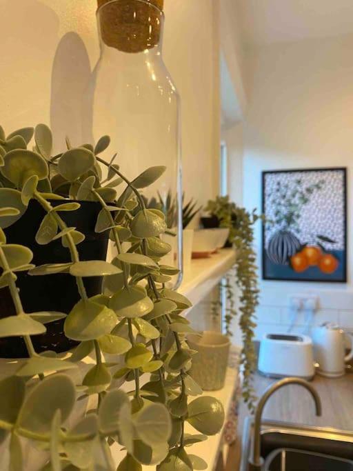 Garden Apartment, Central Harrogate With Parking Kültér fotó